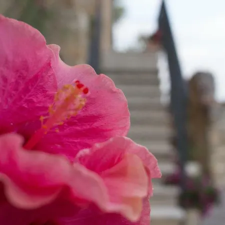 Charme In Perillis לינה וארוחת בוקר