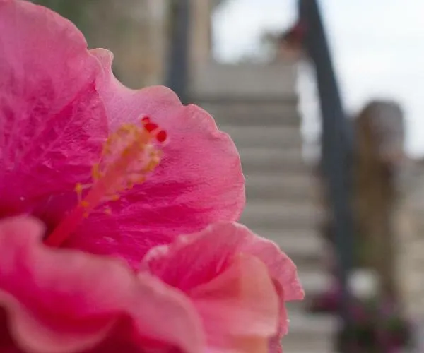 Charme In Perillis Alojamento de Acomodação e Pequeno-almoço